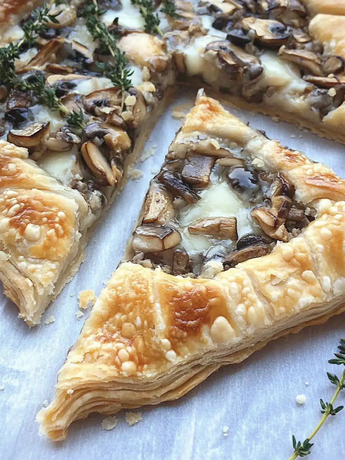 Mushroom galette with cheese