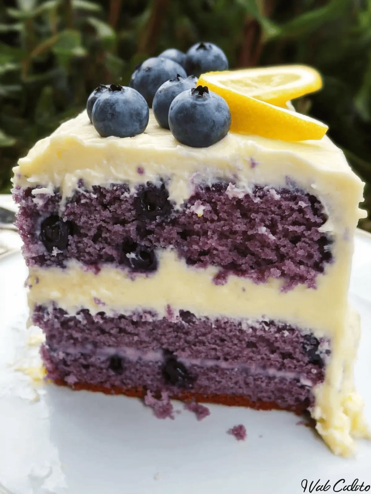 Delicious Blueberry Cake with Lemon Cream Cheese Frosting Recipe 2 Blueberry Cake with Lemon Cream Cheese Frosting
